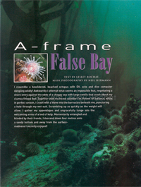 A-frame_False Bay - By Lesley Rochat A-frame_False Bay - By Lesley Rochat