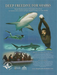 Deep Freedive for Sharks Deep Freedive for Sharks