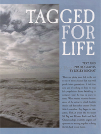 Tagged for Life Africa Geographic Magazine - Lesley Rochat Publications