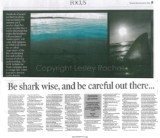 Be shark wise - Lesley Rochat
