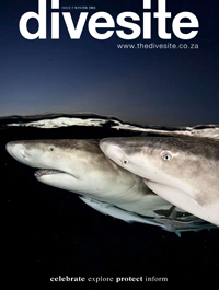 Divesite Magazine - Publications by Lesely Rochat