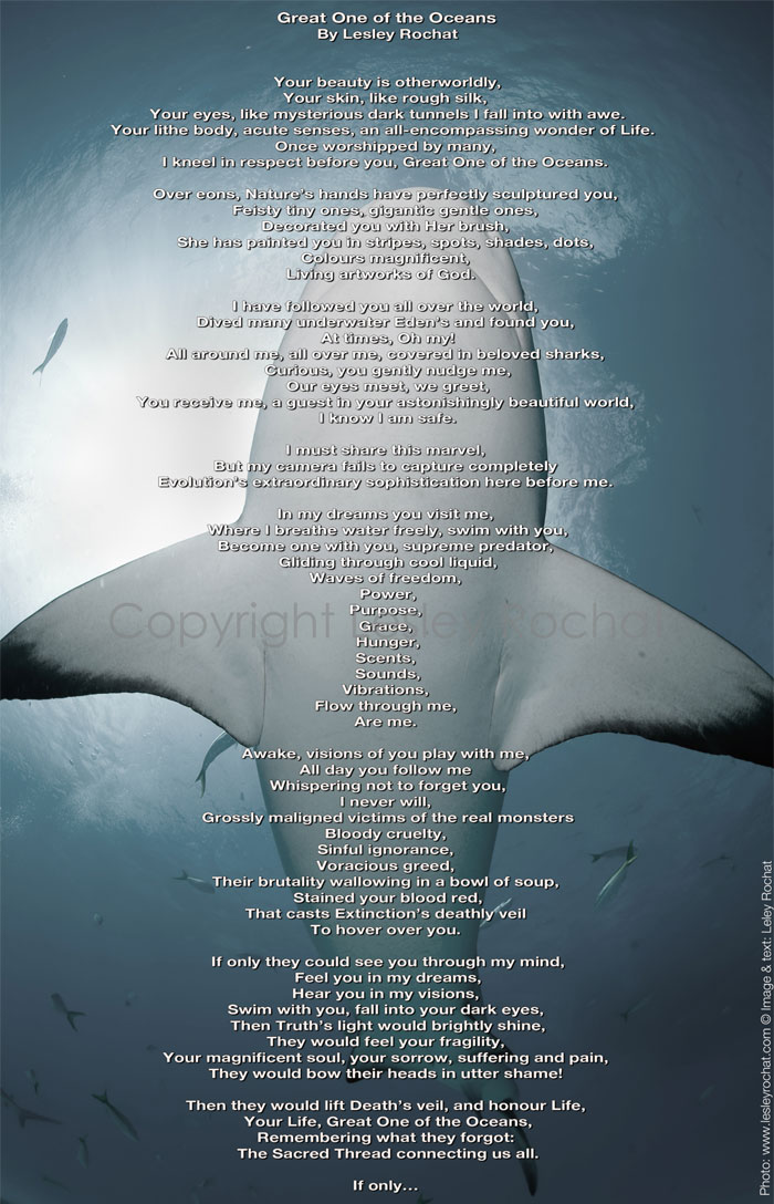 Great One of the Oceans Great One of the Oceans
