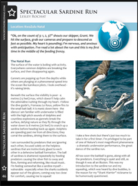 Lesley Rochat sardine run article 2010 Lesley Rochat sardine run article 2010