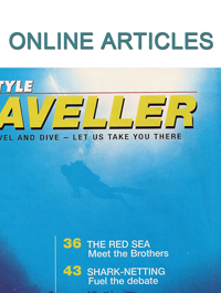Online Articles by Lesley Rochat