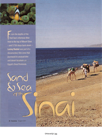 Sand and Sea of the Sinai - Lesley Rochat Sand and Sea of the Sinai - Lesley Rochat