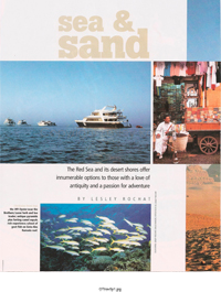 Sea and Sand By Lesley Rochat Sea and Sand By Lesley Rochat