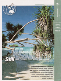 Still Waters - Lesley Rochat Still Waters - Lesley Rochat